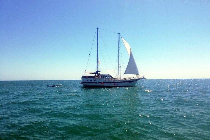 Fremragende Black Sea Yacht Picnic med mad og drikkevarer