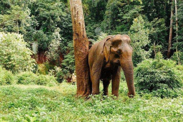 Lombok Wildlife Park Billet