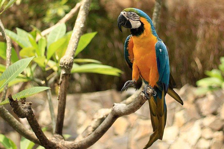 Lombok Wildlife Park Billet