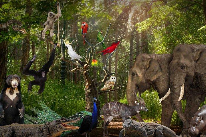 Lombok Wildlife Park Billet