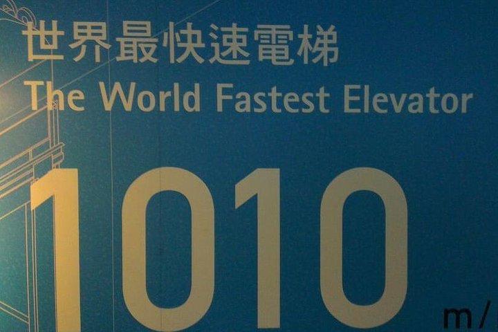 N108 Taipei 101 Cat Air Cable Car Cat Empty Tea Garden Palace Museum Day Tour (10h)