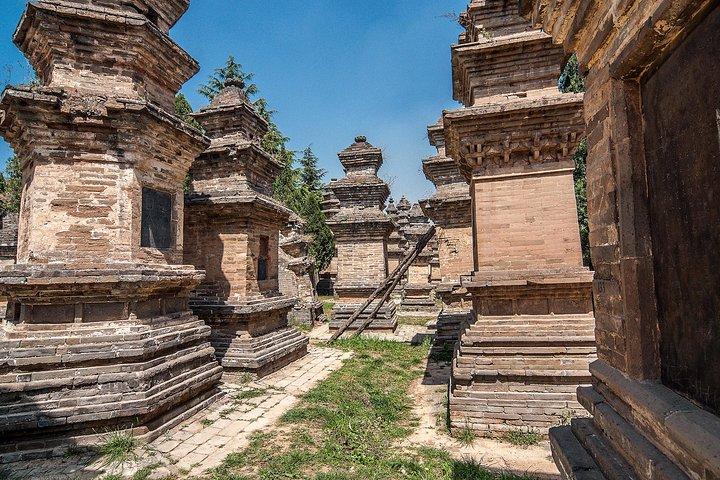 Excursion d'une journée aux grottes de Longmen et au temple Shaolin