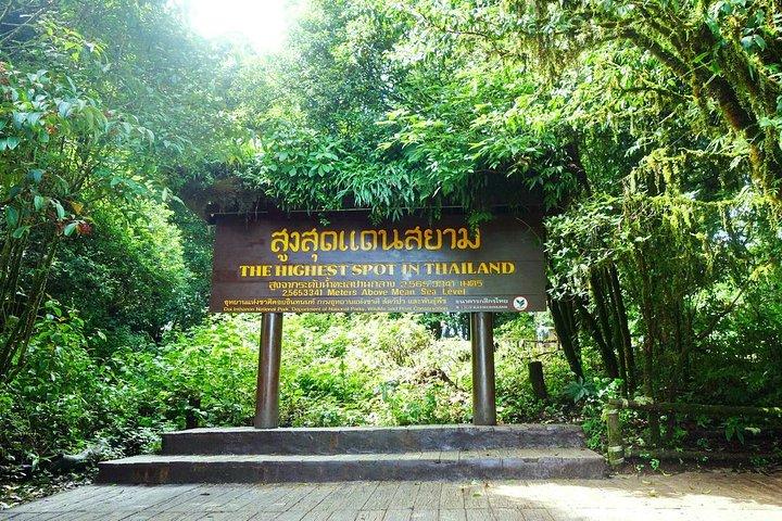 Doi Inthanon, Waterfall + Royal Project de Chiang Mai com almoço