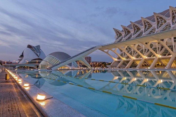 Valencia Private Tour mit Hotel oder Kreuzfahrthafen Abholung