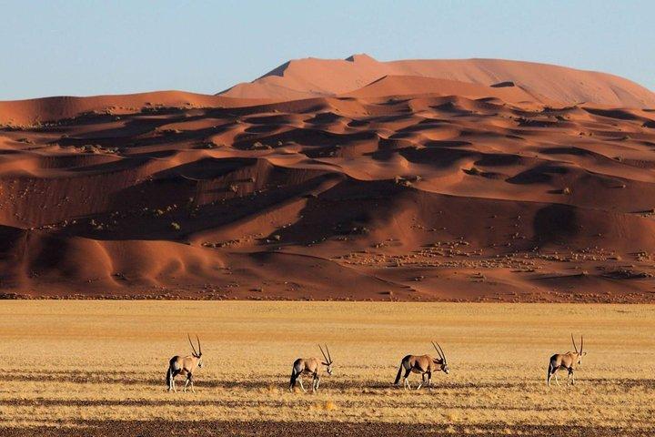 15 Giorni Tutto sulla Namibia | Guided Lodge