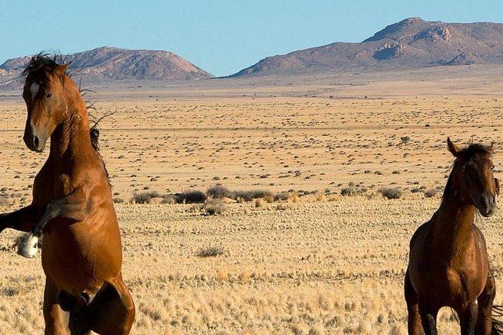 15 Giorni Tutto sulla Namibia | Guided Lodge