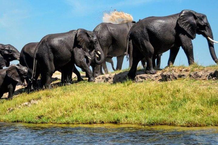 15 jours Namibie et Botswana | Guided Lodge