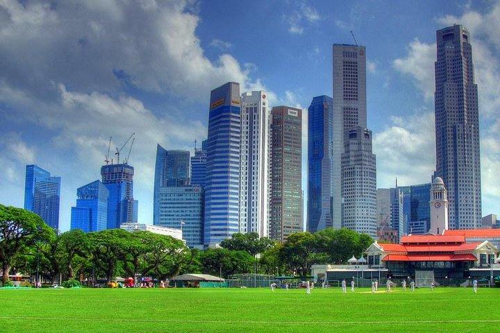 Private One Day Highlight Tour of Singapore with Singapore Flyer