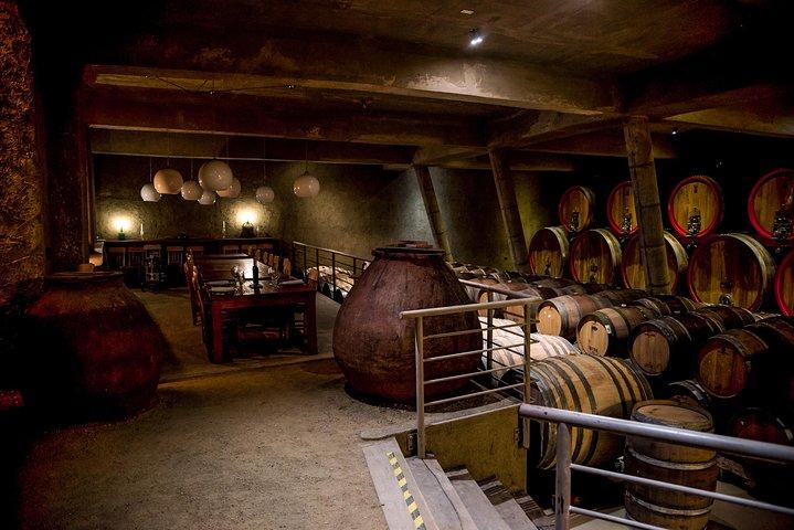 2 fantastici giorni alla scoperta di Santiago, Casablanca, Valparaiso: vino + cibo e storia