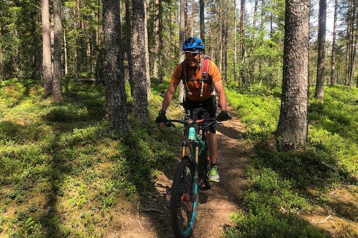 Mountainbike - Voss Wald