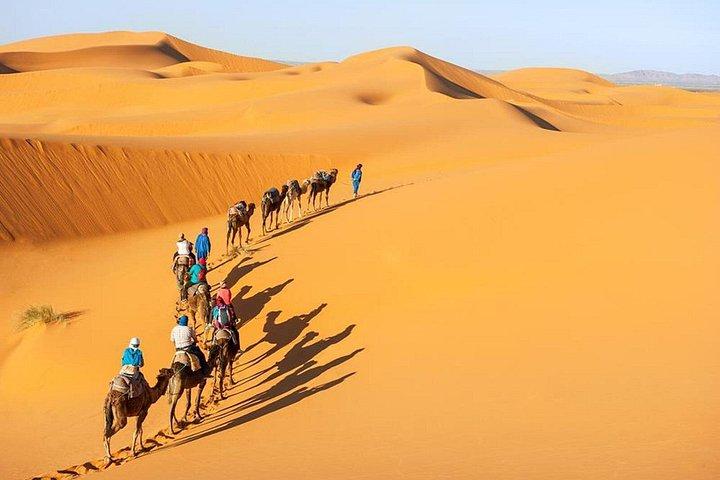Marokko: Ørkenture fra Marrakech til Fez 3 dage