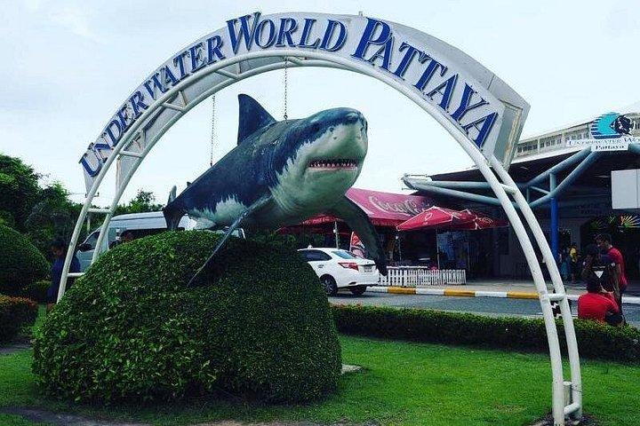 PATTAYA：ウォーターワールドパタヤの下でツアーに参加しよう