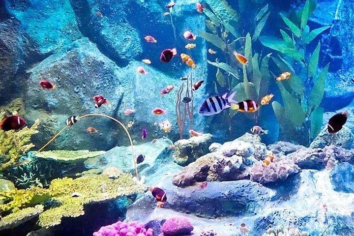PATTAYA:ウォーターワールドパタヤの下でツアーに参加しよう