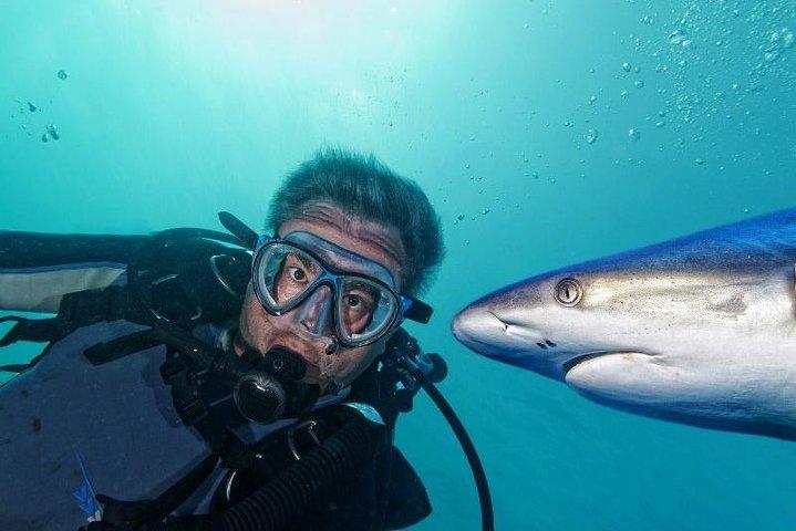 PATTAYA:ウォーターワールドパタヤの下でツアーに参加しよう
