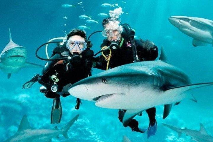 PATTAYA：ウォーターワールドパタヤの下でツアーに参加しよう