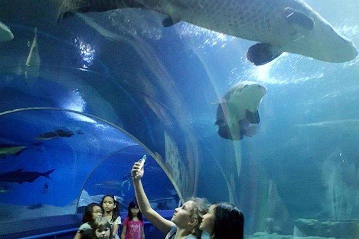 PATTAYA：ウォーターワールドパタヤの下でツアーに参加しよう