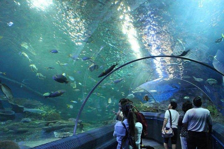 PATTAYA：ウォーターワールドパタヤの下でツアーに参加しよう