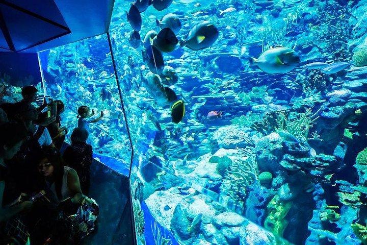 PATTAYA：ウォーターワールドパタヤの下でツアーに参加しよう