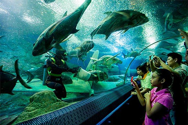 PATTAYA：ウォーターワールドパタヤの下でツアーに参加しよう