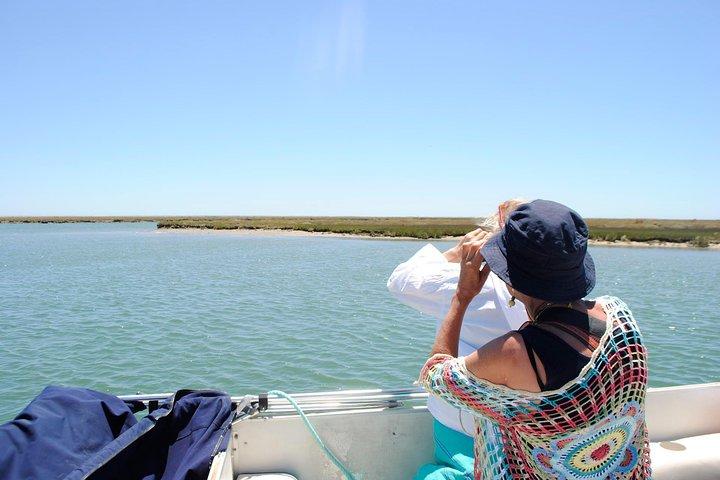 Paseo en barco para descubrir la laguna de la Ría Formosa del Algarve desde Faro: 1 hora