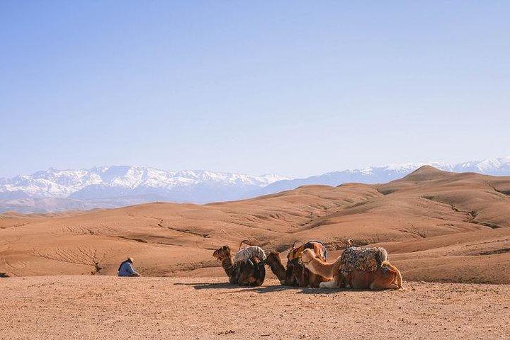 Marrakech: Tur i Agafay-öknen och Atlasbergen med kameltur