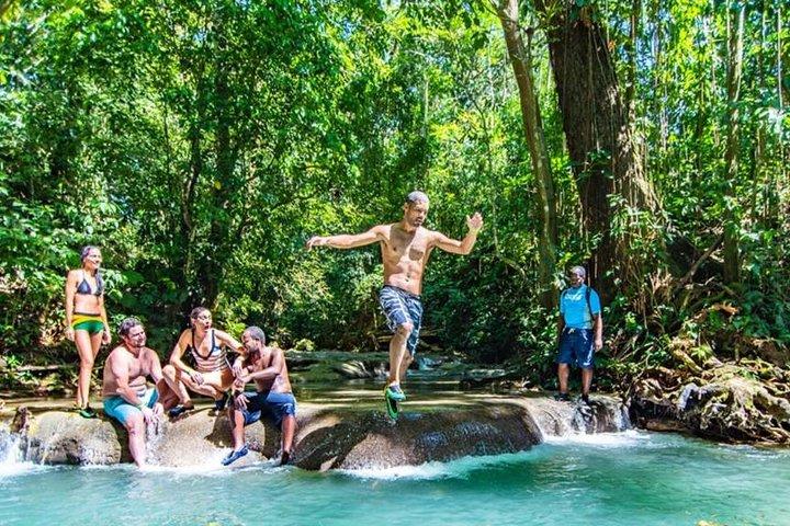 Excursão privada às cachoeiras de Mayfield Falls [ Transporte ]