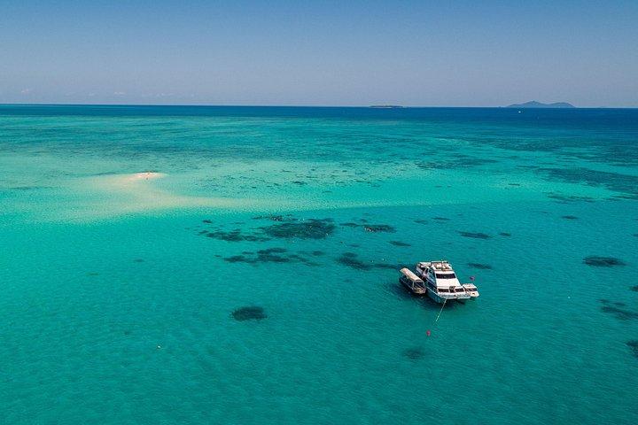 海洋自由：グレートバリアリーフスタイリッシュシュノーケル、ダイビングリーフツアー