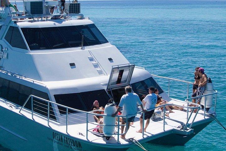海洋自由：グレートバリアリーフスタイリッシュシュノーケル、ダイビングリーフツアー