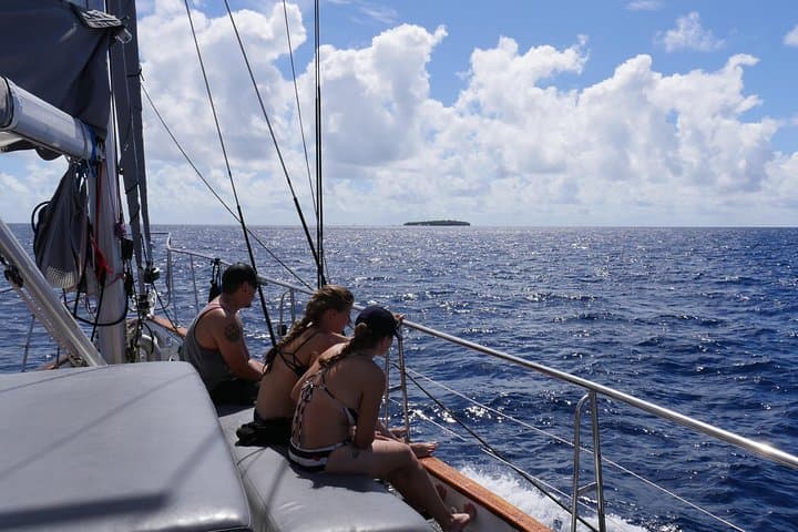 Ocean Free 25 guest Great Barrier Reef & visit Green Island Tour