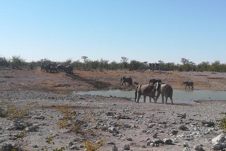 3 jours Etosha National Park Camping