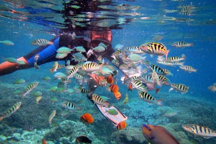 Bali Blue Lagoon Schnorchelerlebnis