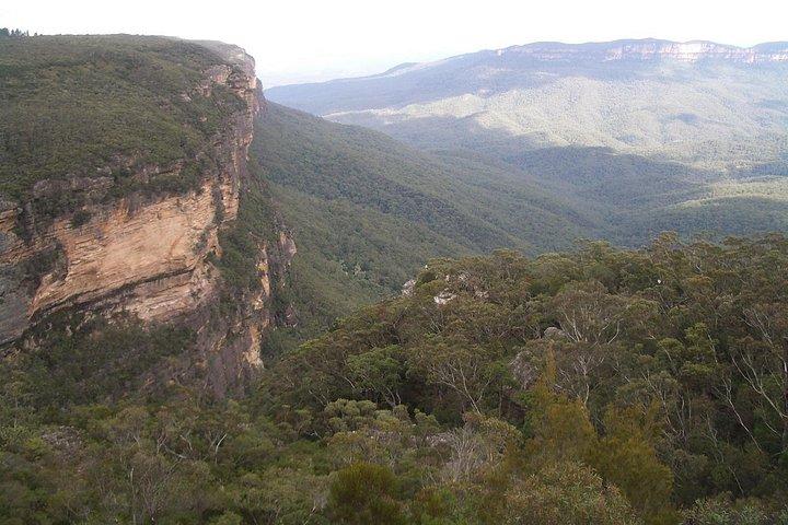 PRIVATE Blue Mountains day tour with local guide.