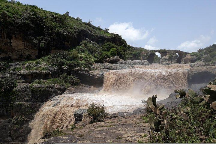 Excursies naar Debre Libanos & Jema Gorge op dezelfde dag