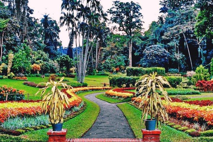 Kandy-stadstour voor paarprijs