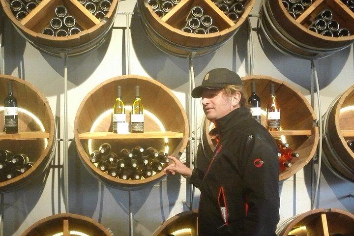 Tour privati in Israele, tour del vino, fuoristrada, su misura, culinari, i migliori