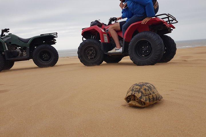 Essaouira P5: fyrhjulingstur vid havet (gratis transfer)