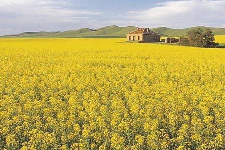 Clare Valley Wine Escape