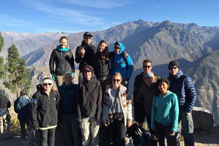 Heldagstur / Colca Canyon