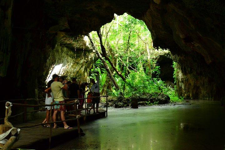 Snorkel Cenote e Akumal