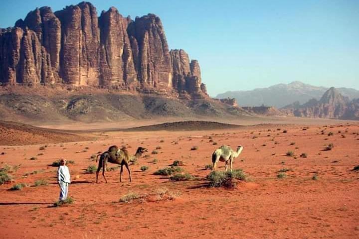 2 jours Pétra, Wadi Rum et Mer Morte