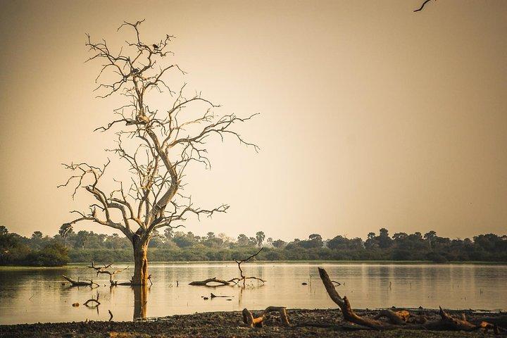3 Days Safari - Selous Game Reserve
