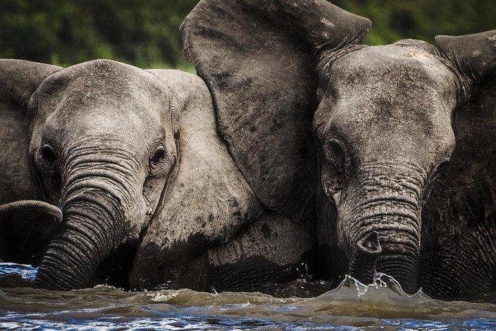 3 Days Safari - Selous Game Reserve
