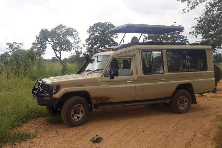 3 Days Safari - Selous Game Reserve