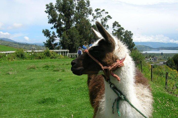 Otavalo Markt & Peguche Wasserfall Private Tour