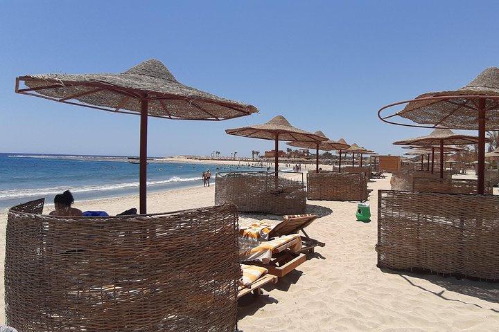 Turtles Bay, simning med Turtles Hurghada & Marsa ALam
