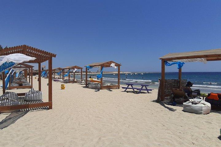 Turtles Bay, simning med Turtles Hurghada & Marsa ALam