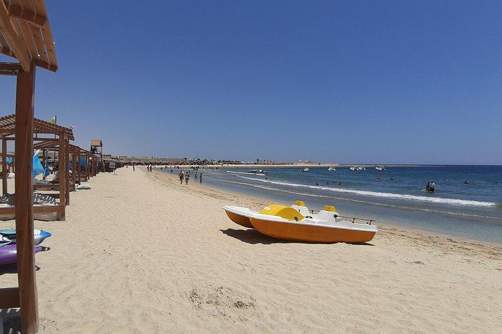Turtles Bay, simning med Turtles Hurghada & Marsa ALam