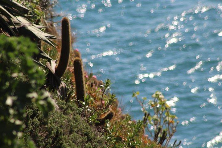 Porto de San Antonio, degustação de vinhos fora do caminho mais conhecido