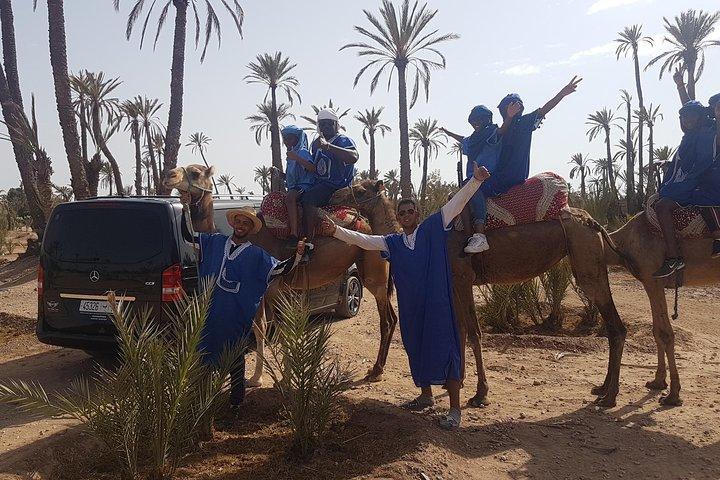 Quad + Camel Ride