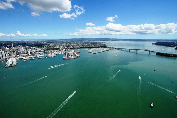 Auckland Harbour Cruise